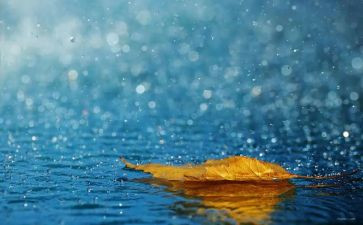 雨声的作文通用6篇