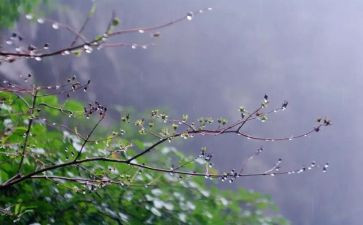 雨后去教学反思5篇