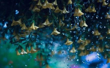 秋天的雨教案大班反思6篇