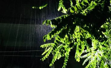冬天的雨作文8篇