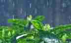 雨之歌教学反思5篇