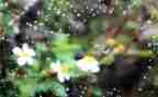关于与雨的作文400字优秀7篇