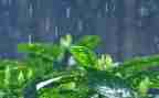 要下雨啦作文优质8篇