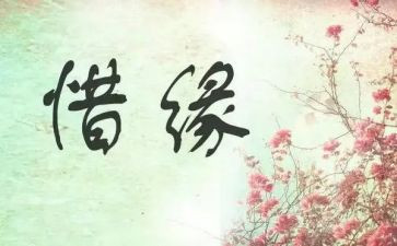我与幼儿缘演讲稿6篇