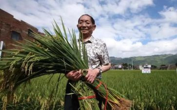 袁隆平学生作文5篇