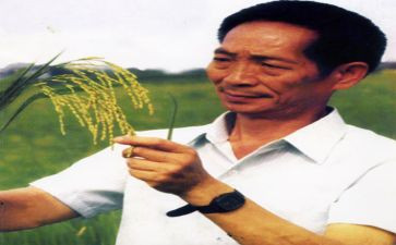 关于与袁隆平的作文7篇