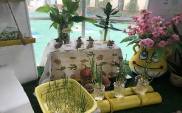 幼儿园培训方案和培训计划5篇