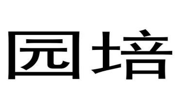 2024年幼儿园培训工作总结精选7篇
