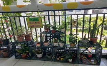 幼儿园培训师德心得体会模板5篇