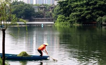 雨后的小学生作文7篇