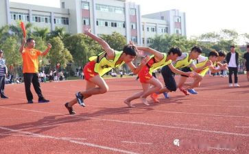 中国奥运会心得体会5篇