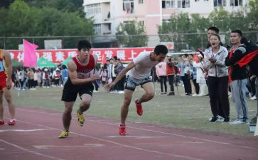 市运会作文500字优质7篇