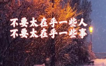 我只在乎你作文8篇