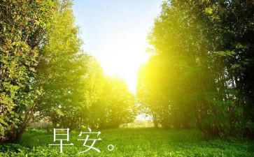 早教老师的心得5篇