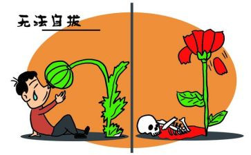 张子权事迹观后感最新6篇