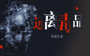 张子权观后感精选5篇