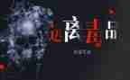 张子权观后感精选5篇
