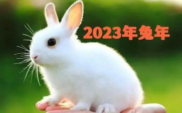 感恩2023展望2023作文7篇