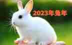 感恩2023展望2023作文7篇