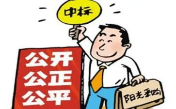 招标的心得体会模板5篇
