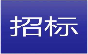 招标的心得体会7篇