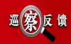 村作风建设自查整改报告8篇