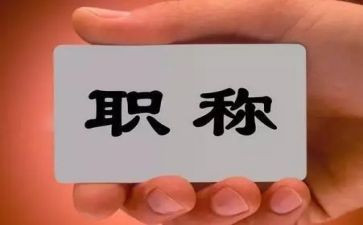 正高级职称专业技术工作总结5篇
