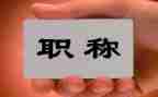 正高级职称专业技术工作总结5篇