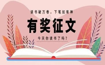 2024年征文活动总结优质6篇