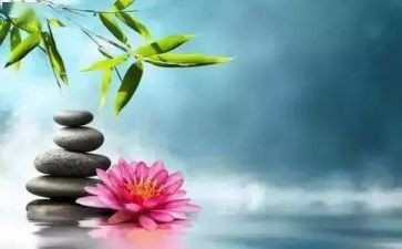 关于争与让的作文800字最新7篇