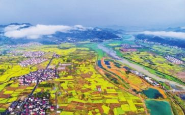 2024年县乡村振兴工作总结推荐5篇