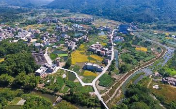 乡村振兴调研报告推荐8篇