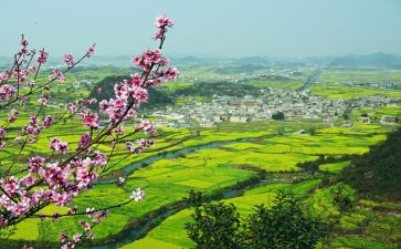 乡村振兴总结报告7篇