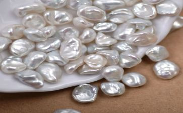 珍珠鸟,读后感精选5篇