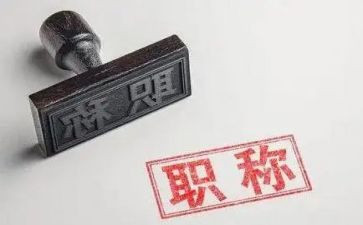 进职称个人总结范文模板8篇