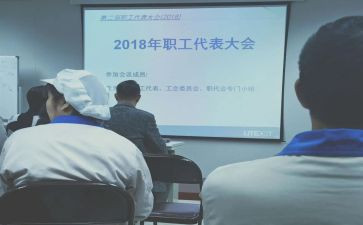 职代表个人总结精选5篇
