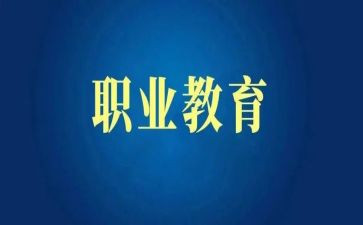 高职教师总结个人总结5篇