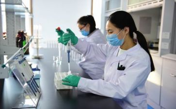 质量岗个人总结6篇