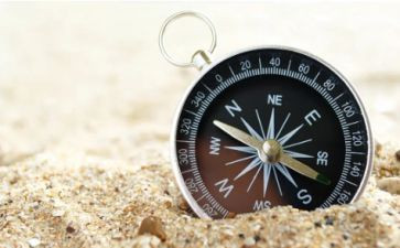 幼儿园质量评估指南心得体会7篇