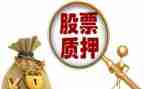借款质押合同模板8篇