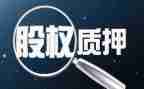 反担保股权质押合同7篇