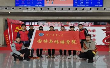 志愿者个人活动总结6篇