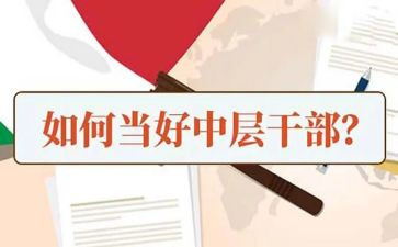 企业中层干部工作总结8篇