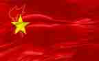 2024保安中队年终总结6篇