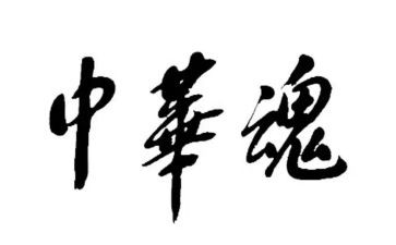 中华魂演讲稿格式范文6篇