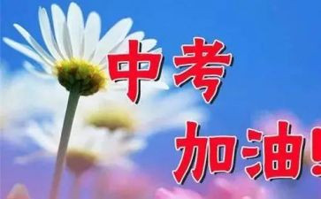 中考之后的我作文5篇