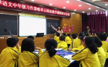 小学体育中年级教学计划8篇