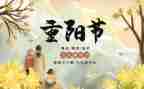 重阳敬老活动方案优质5篇