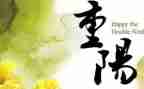 小学生作文重阳节作文通用6篇
