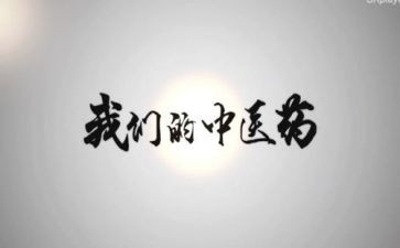 市中医工作总结5篇